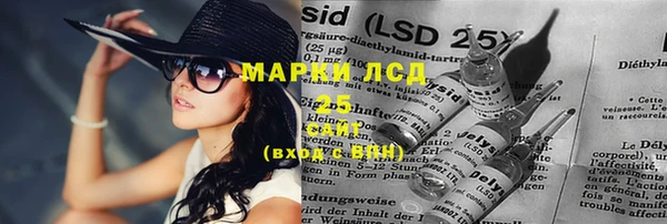 сатива Верхний Тагил