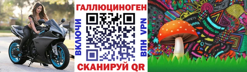 Купить где  Павловская  Псилоцибиновые грибы ЛСД 